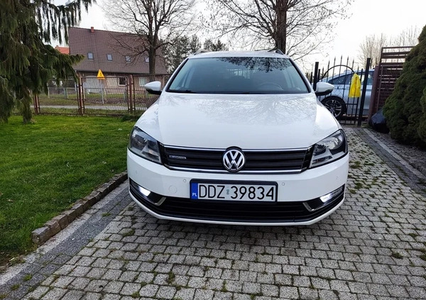 Volkswagen Passat cena 23900 przebieg: 270000, rok produkcji 2012 z Ziębice małe 67